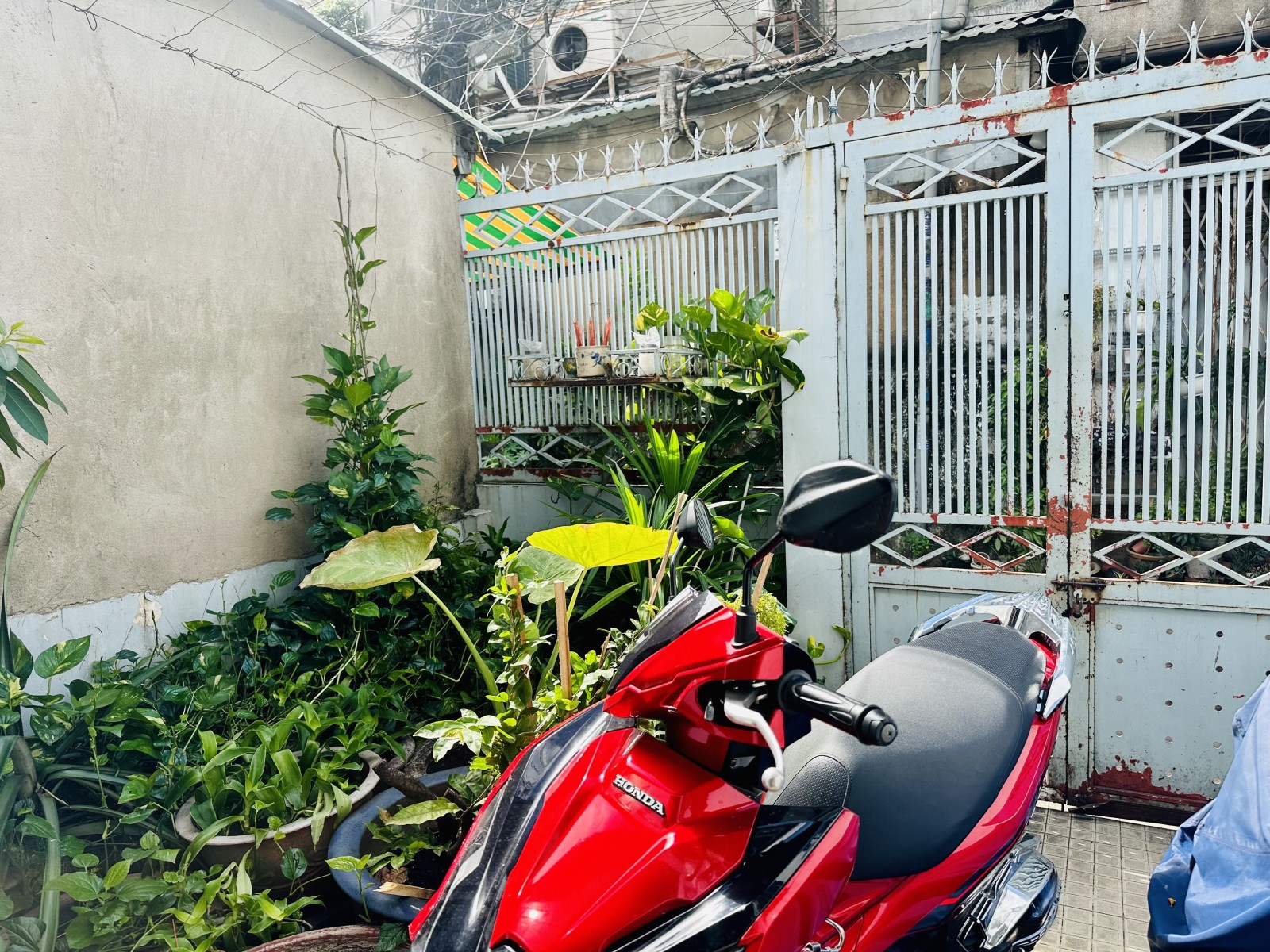 Bán nhà hẻm 117 Cống Quỳnh, Quận 1 - ảnh 3