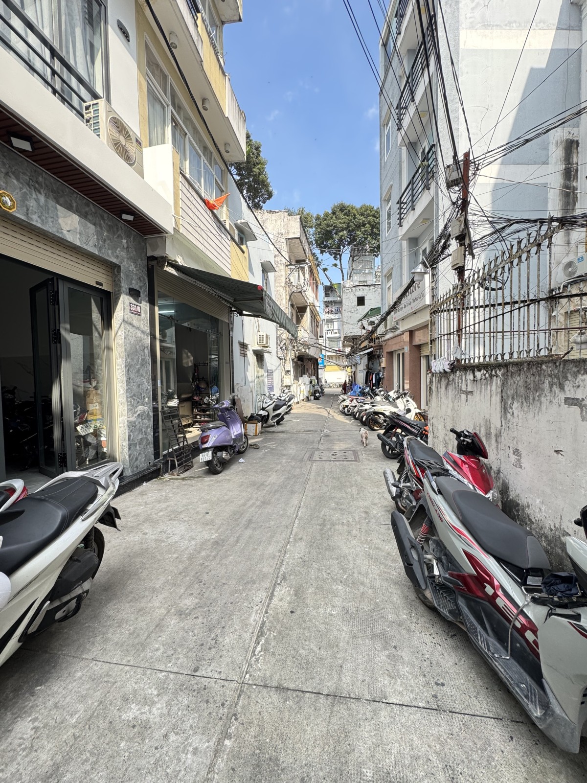 Bán nhà đường Lê Hồng Phong, Quận 10 - ảnh 7