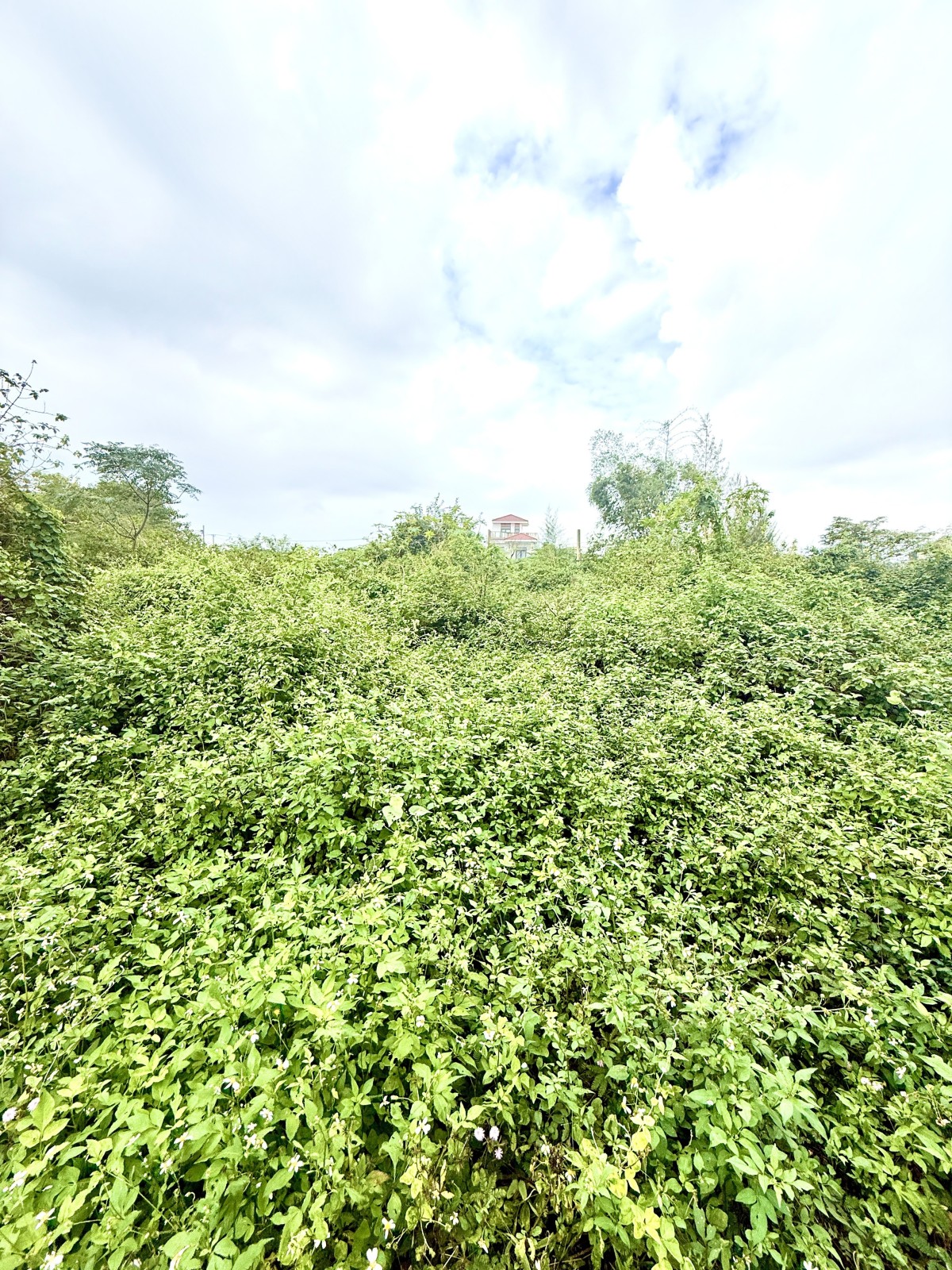 VÙNG TRUNG 10 300m², ĐẤT, ngang 15m, dài 20m, giá 14 tỷ, Ngũ Hành Sơn