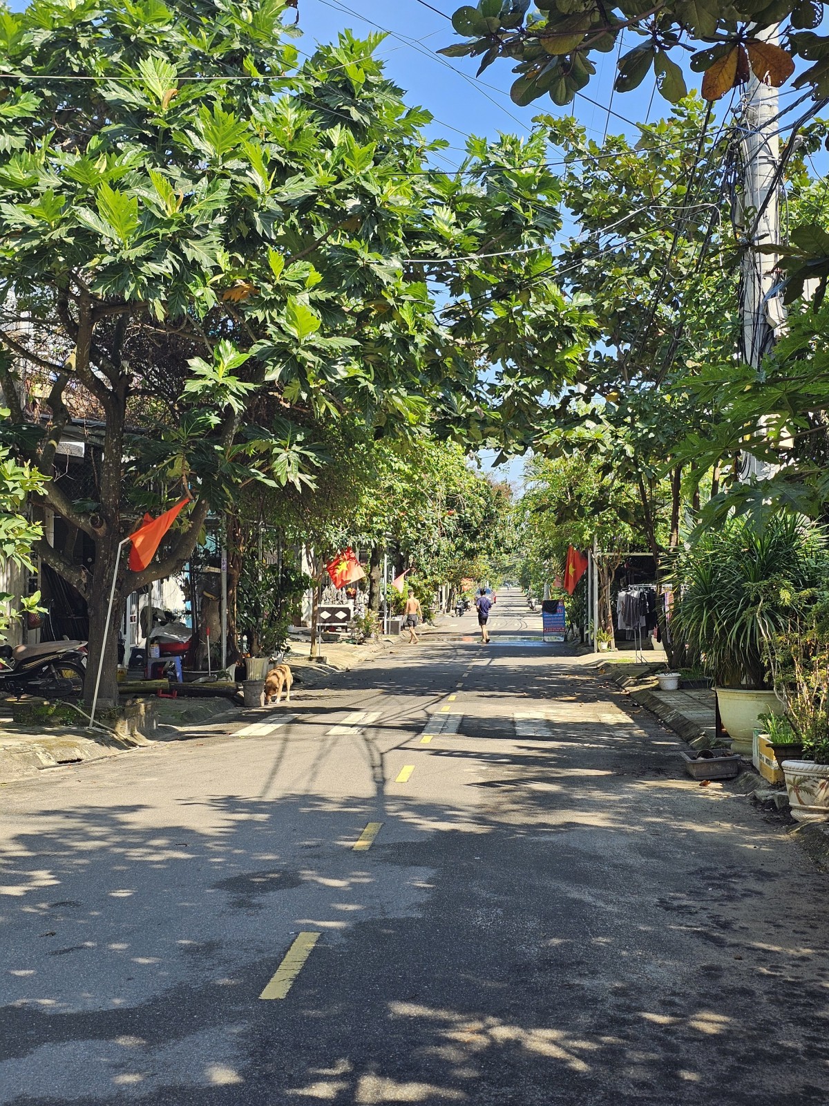ĐÀO CÔNG SOẠN 73.5m², ĐẤT, ngang 7m, dài 10.5m, giá 5 tỷ, Liên Chiểu