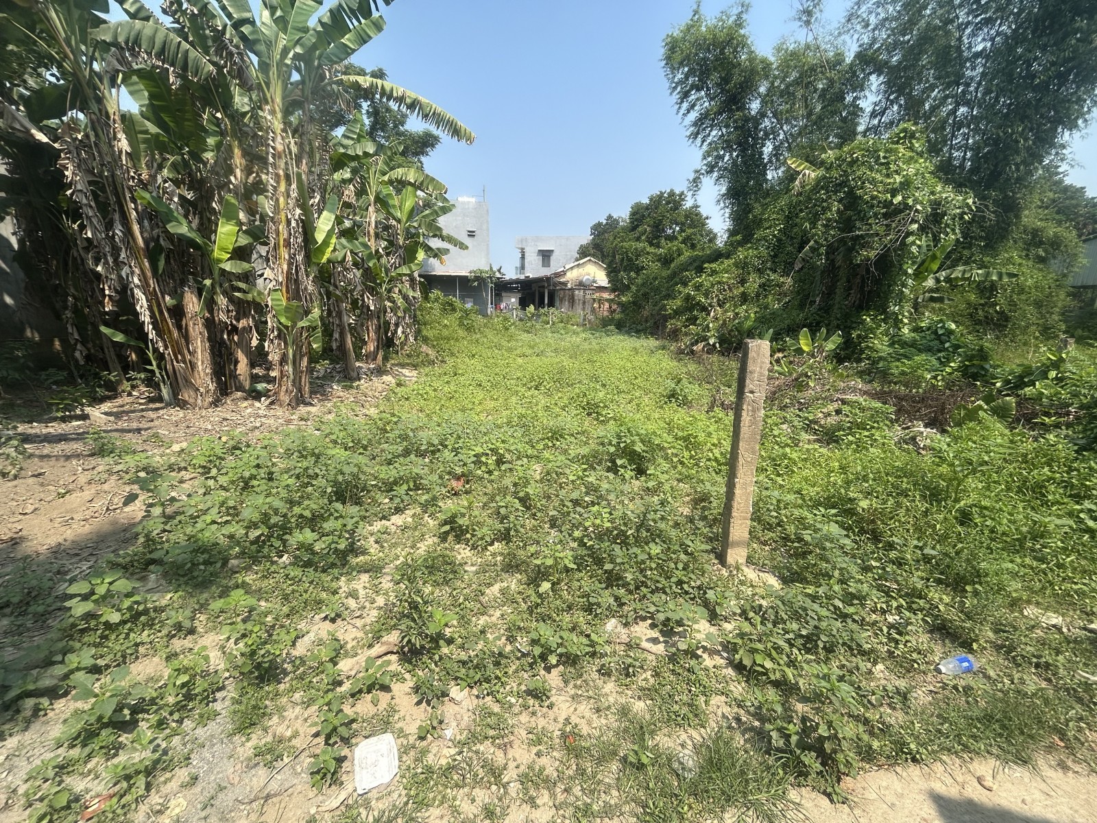 THÔN AN TÂN, HOÀ PHONG( XÃ HOÀ VANG ) 150m², ĐẤT, ngang 5m, dài 30m, giá 1.3 tỷ, Hoà Vang