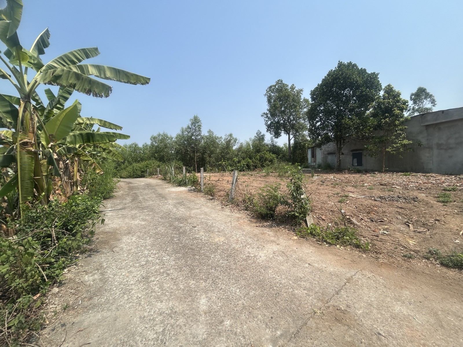 THÔN THÁI LAI, HOÀ NHƠN ( XÃ BÀ NÀ ) 150m², ĐẤT, ngang 7.3m, dài 24m, giá 1.35 tỷ, Hoà Vang