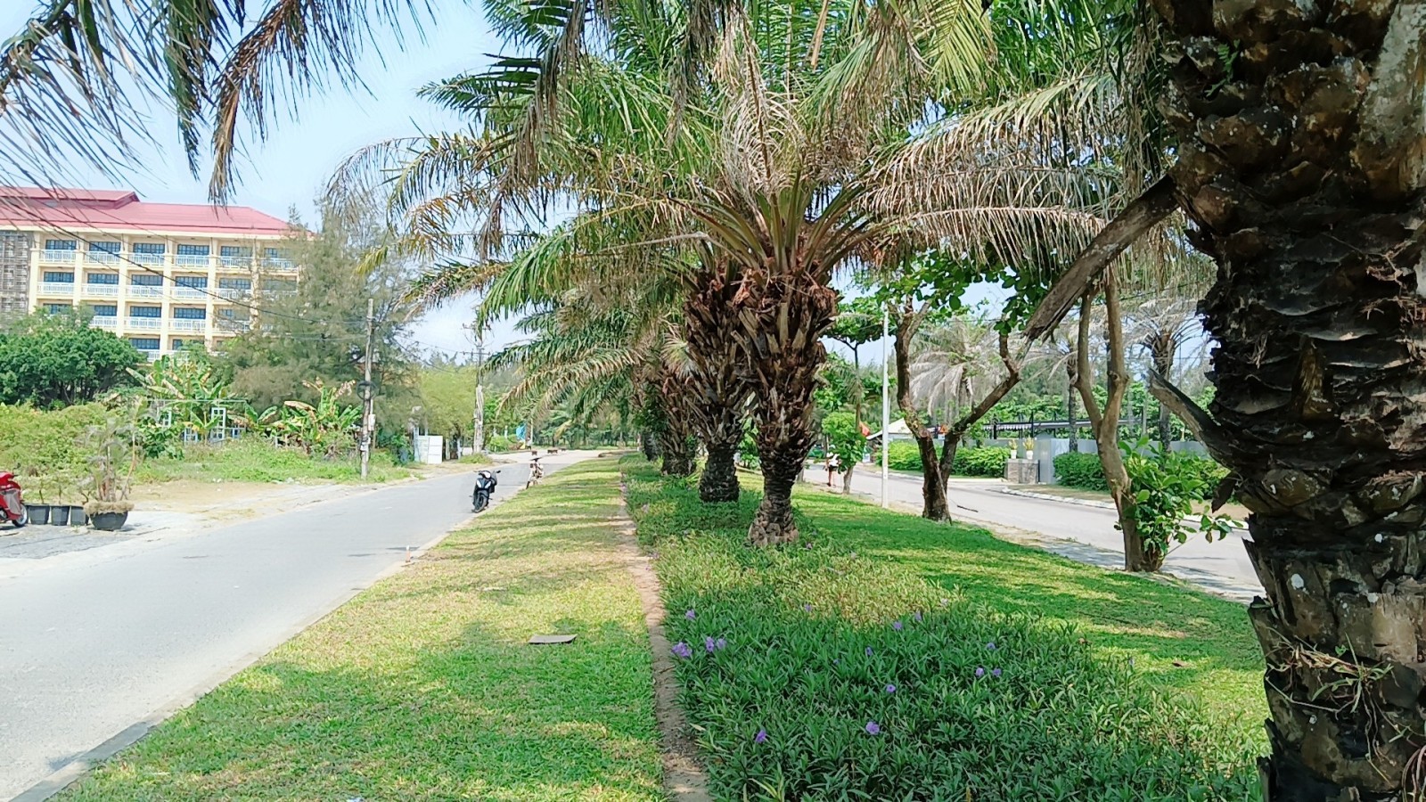 ÂU CƠ, CỬA ĐẠI 970m², ĐẤT, ngang 20m, dài 48.5m, giá 63.2 tỷ, Hội An