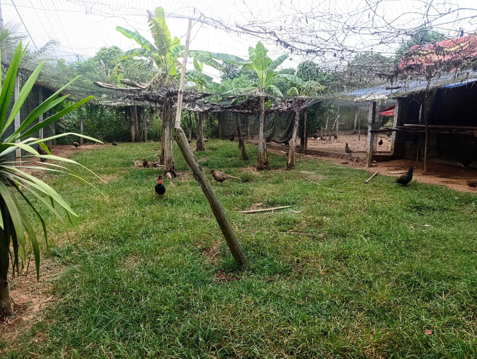 THÔN ĐÔNG LÂM XÃ HÒA PHÚ 1750m², ĐẤT, ngang 40m, dài 45m, giá 3.25 tỷ, Hòa Vang