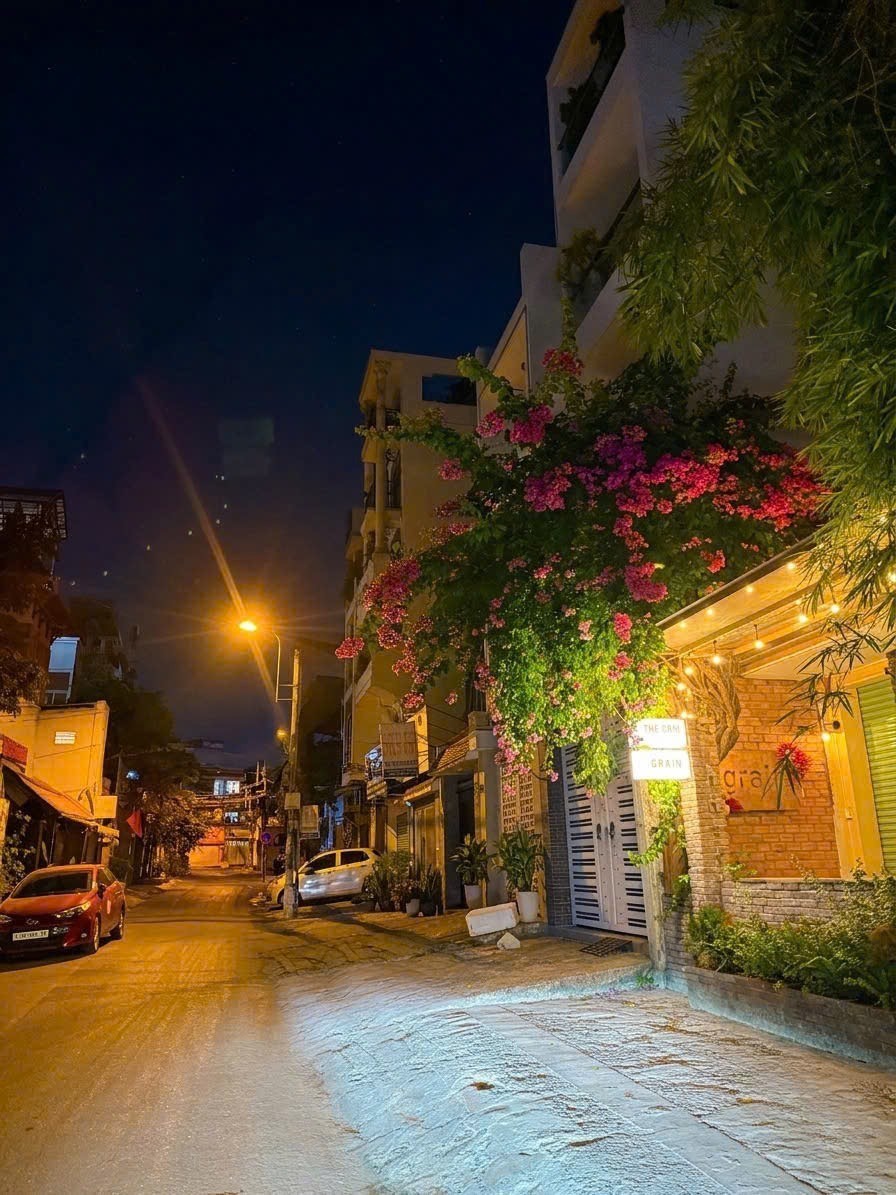 Bán nhà đường Nguyễn An Ninh, Bình Thạnh - ảnh 2