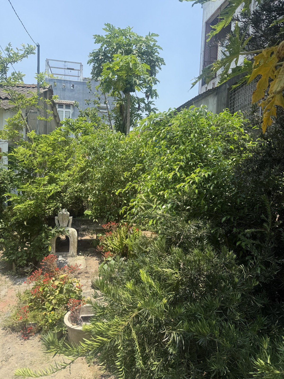 K NGUYỄN ĐÌNH CHIỂU 397.9m², cấp 4, ngang 15.8m, dài 24m, giá 11.9 tỷ, Hội An