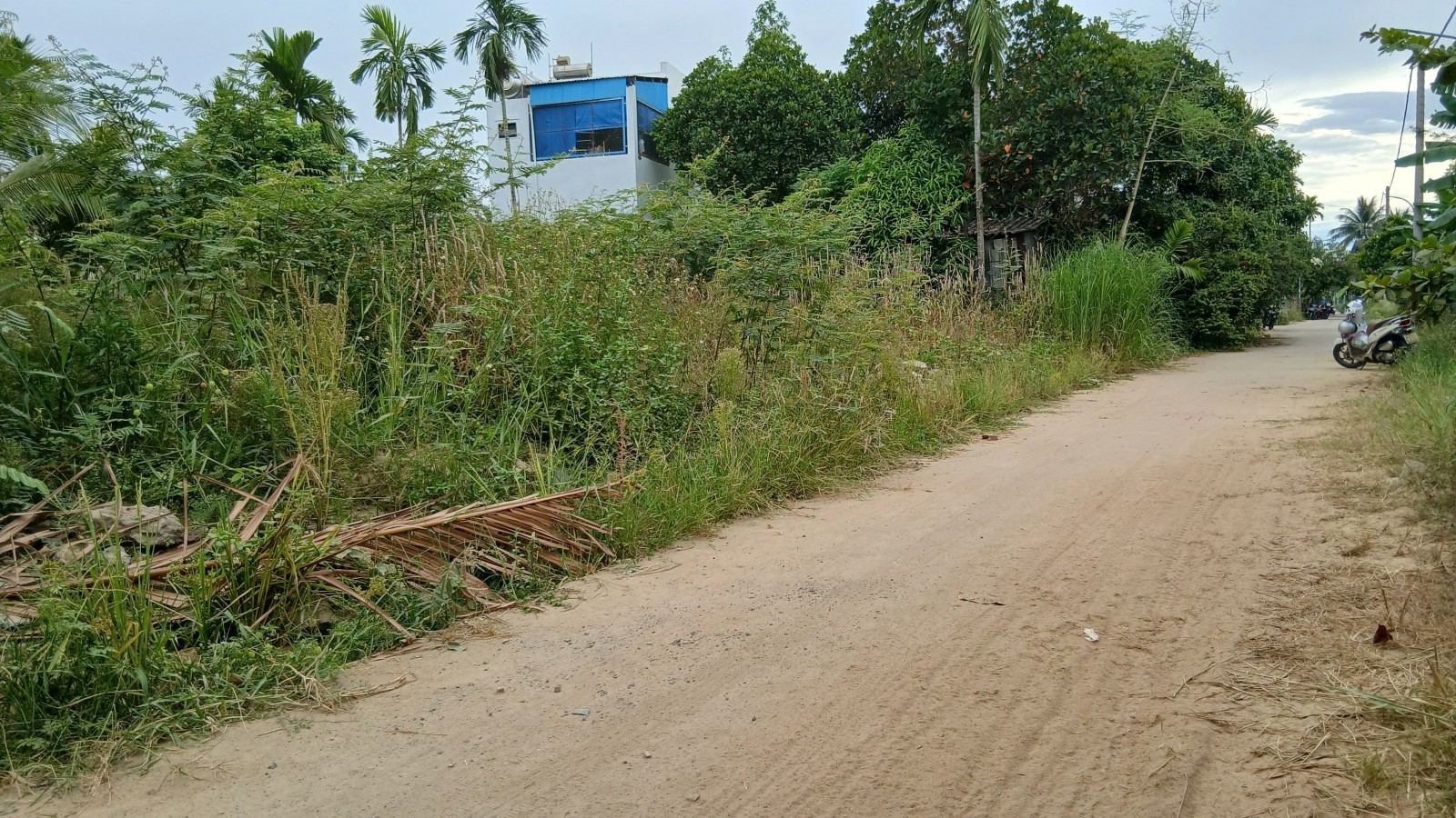 Đất Cẩm Nam (cũ) 314.7 Đất tỷ Hội An