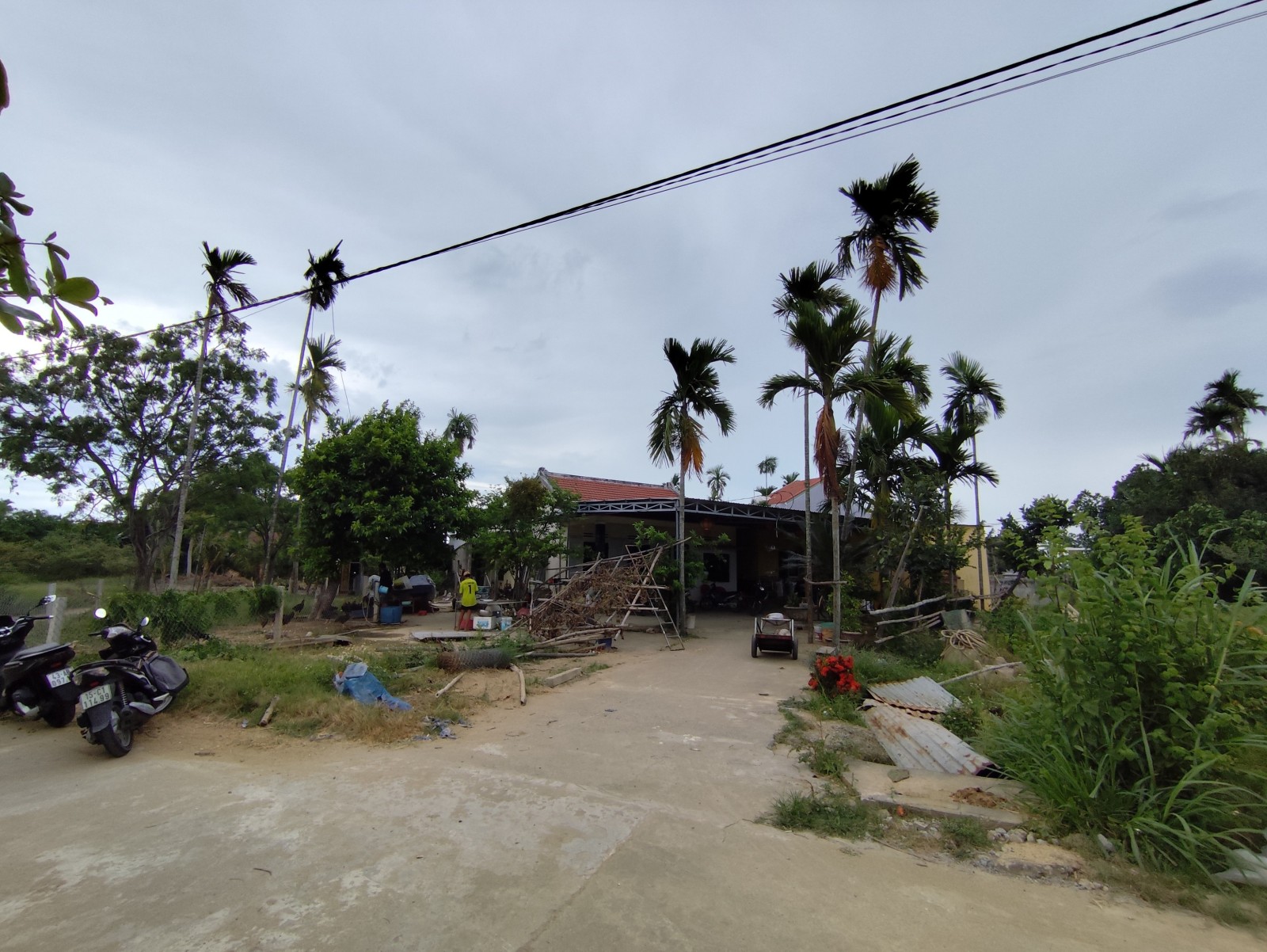 CẨM NAM 492m², 1 tầng, ngang 15m, dài 30m, giá 12.8 tỷ, Hội An