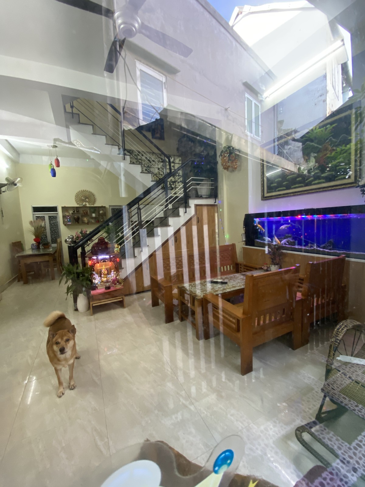 K120 LÝ THÁI TỔ 102m², 3 tầng, ngang 10m, dài 10.5m, giá 6.2 tỷ, Thanh Khê