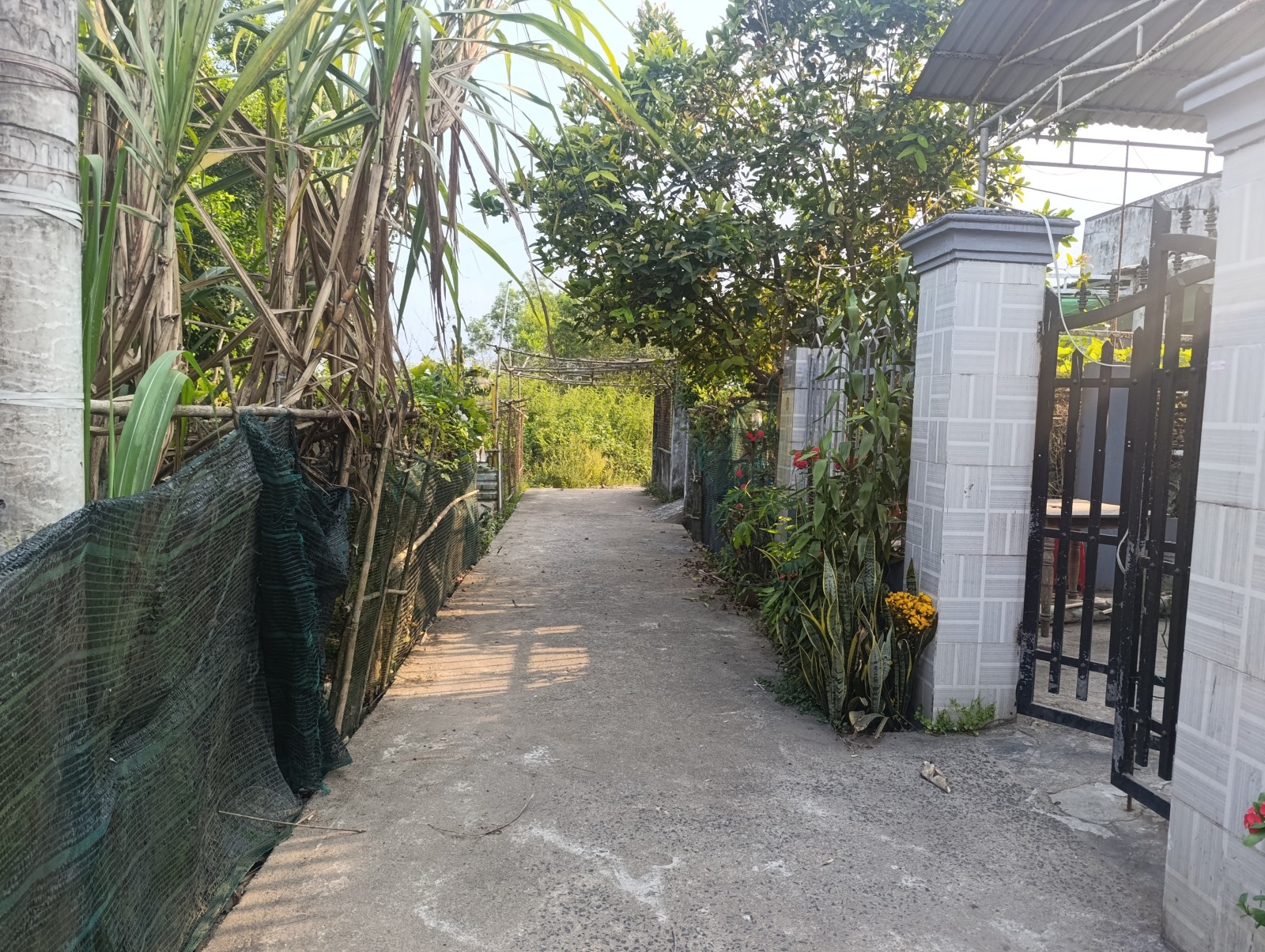 NGUYỄN PHÚ HƯỜNG 100m², ĐẤT, ngang 4.3m, dài 23m, giá 1.68 tỷ, Cẩm Lệ