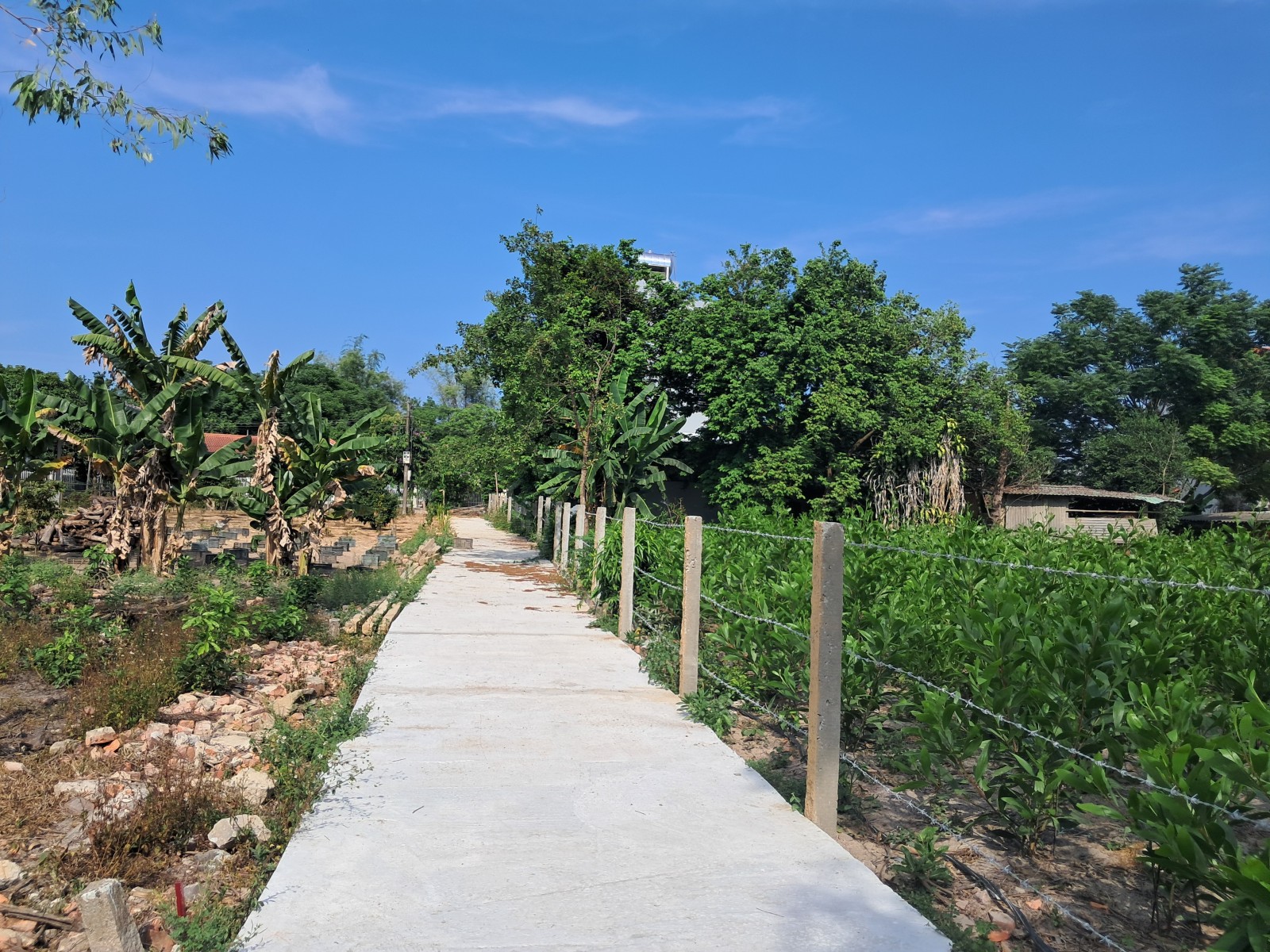 THÔN BÍCH BẮC ĐIỆN HÒA 210m², ĐẤT, ngang 7m, dài 30m, giá 1.65 tỷ, Điện Bàn ĐN