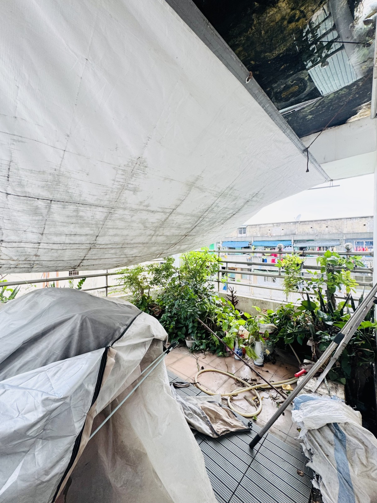 Bán nhà đường Bà Hạt, Quận 10 - ảnh 5
