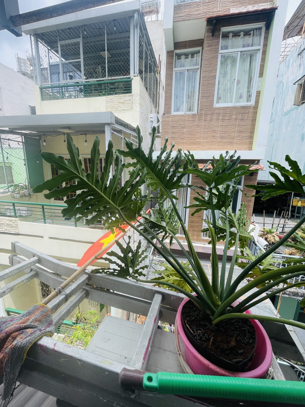 Bán nhà đường Nguyễn Đình Chiểu, Quận 3 - ảnh 5