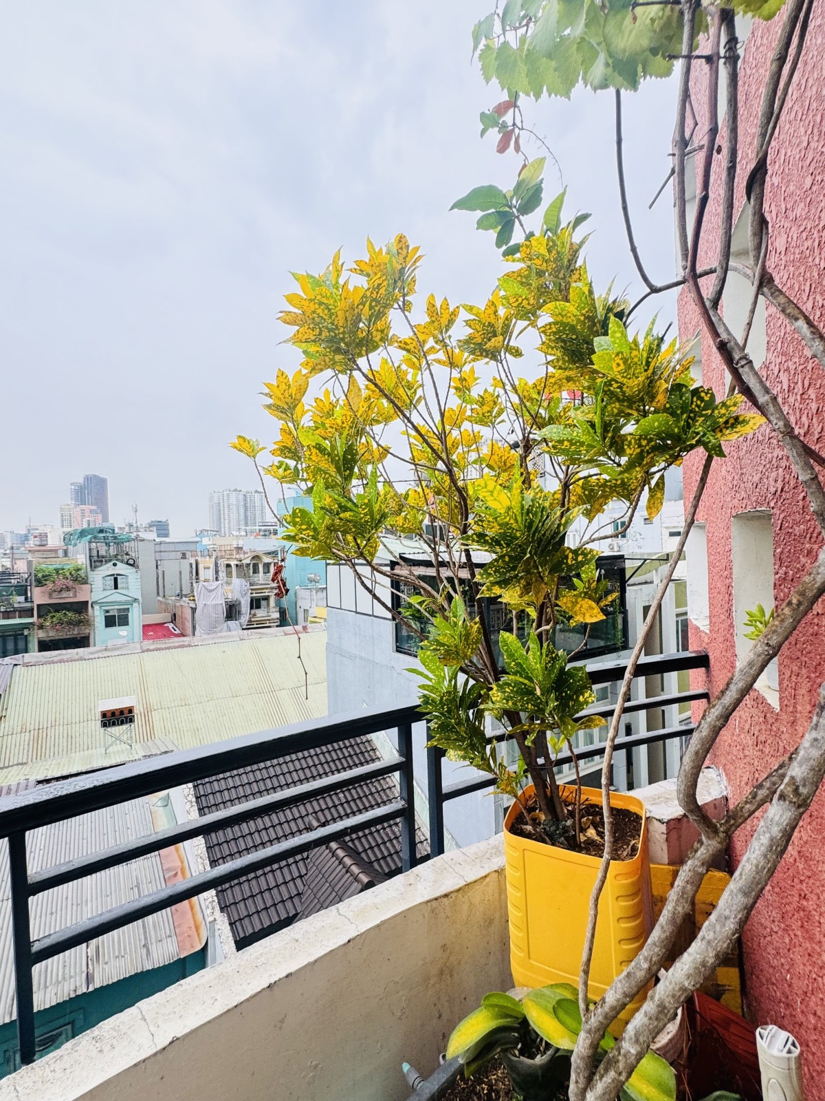 Bán nhà đường Đề Thám, Quận 1 - ảnh 4