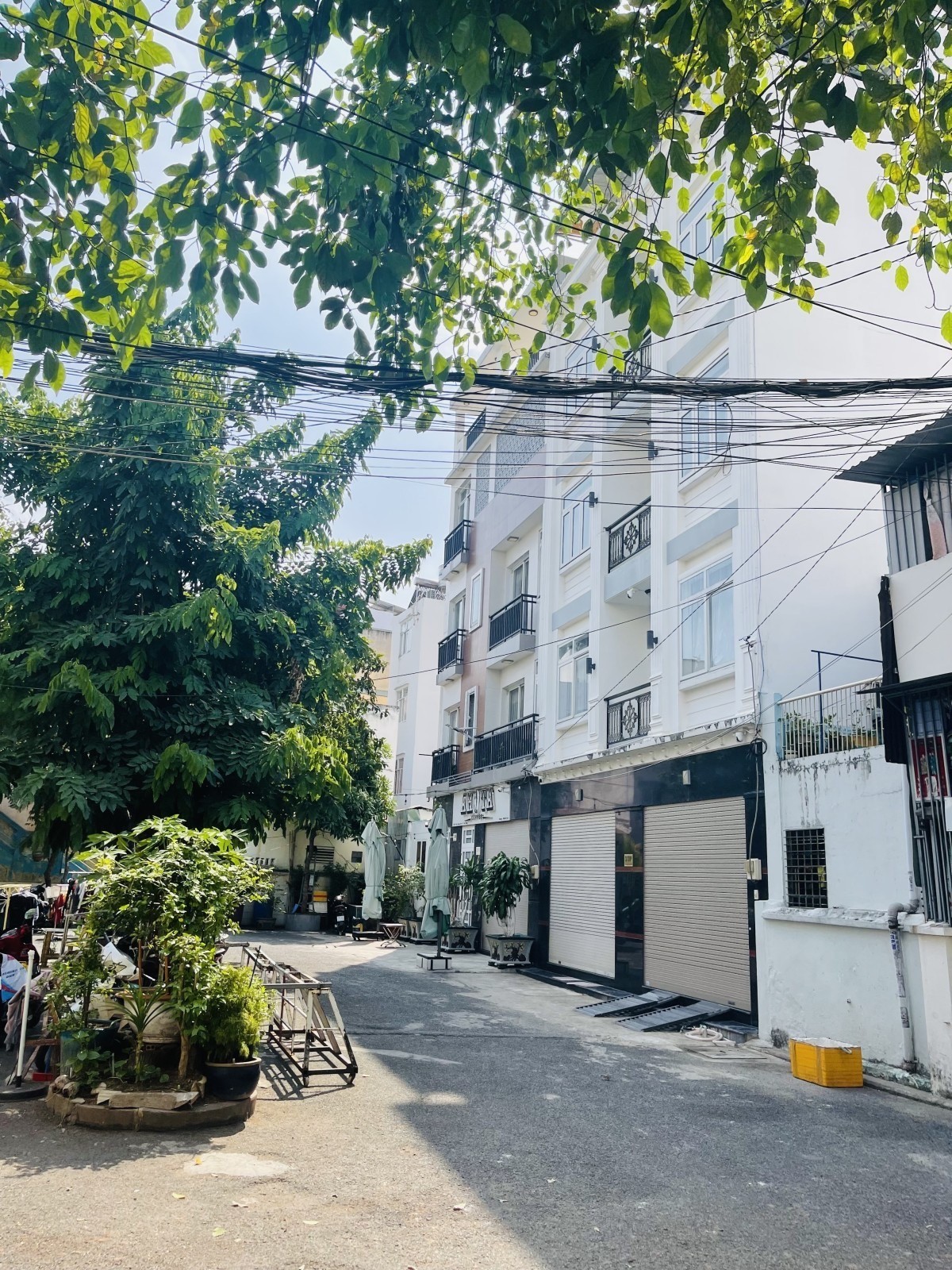 Bán nhà đường Thích Quảng Đức, Phú Nhuận - ảnh 6