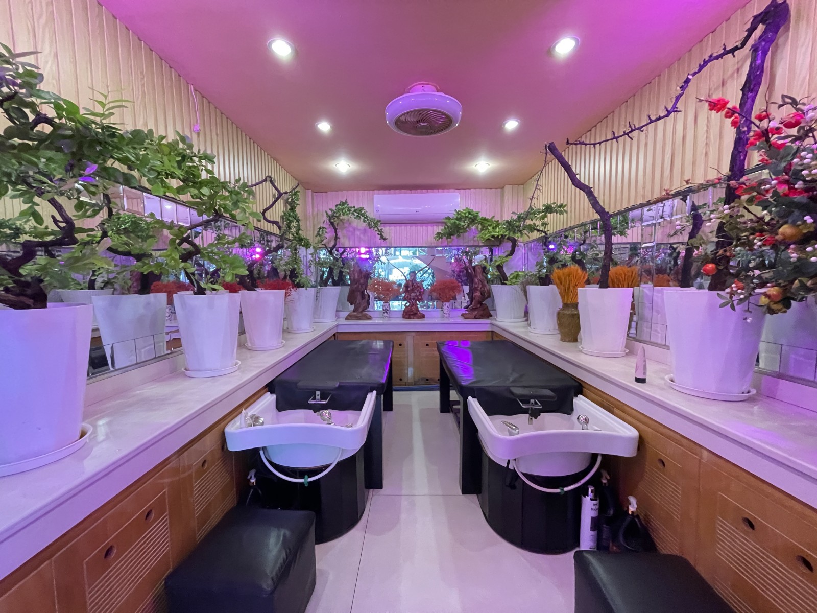 Bán nhà đường Huỳnh Văn Bánh, Phú Nhuận - ảnh 2