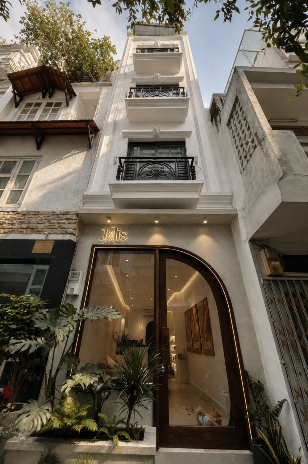 Bán nhà đường Phạm Ngọc Thạch, Quận 3 - ảnh 4