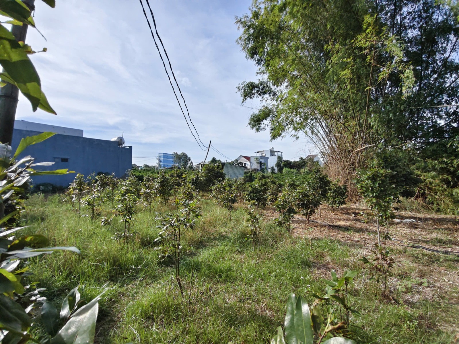 BÀU SÚNG – THANH HÀ 270m², ĐẤT, ngang 16m, dài 17.4m, giá 3.1 tỷ, Hội An