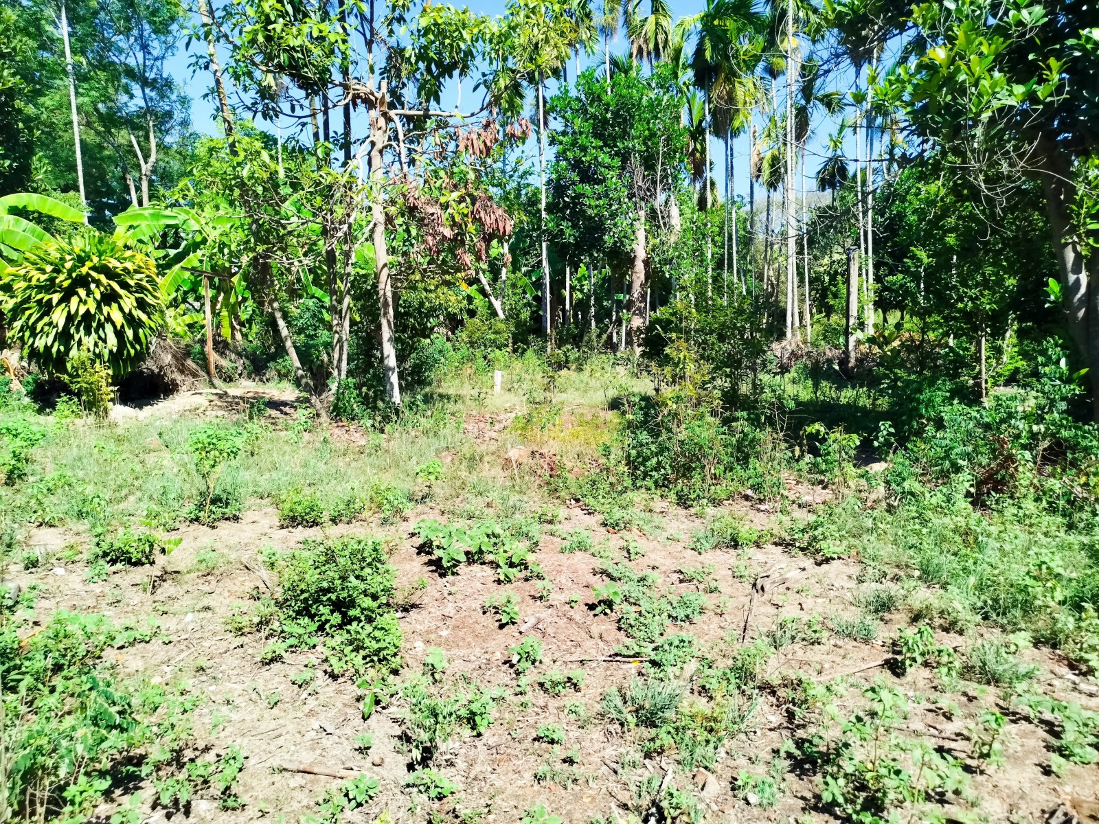 HÒA XUÂN 336m², ĐẤT, ngang 9.5m, dài 35m, giá 2.8 tỷ, Tân Hạnh Hòa Phước