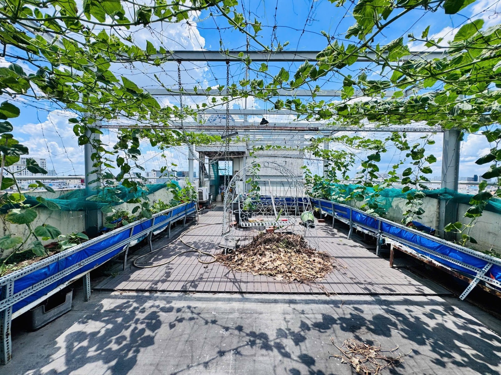 Bán nhà đường Trần Bình Trọng, Bình Thạnh - ảnh 6