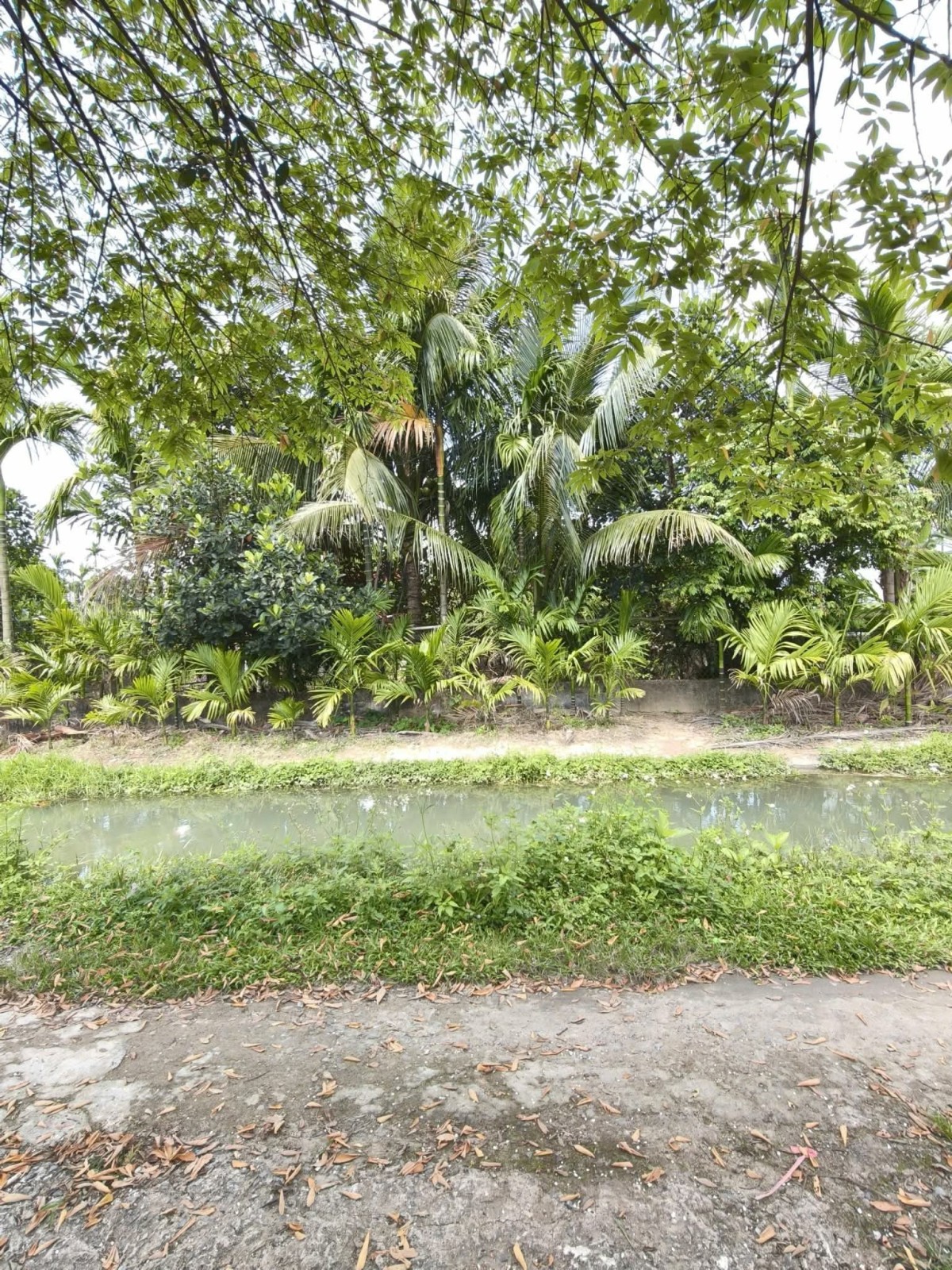 THÔN XUÂN DIỆM 125m², ĐẤT, ngang 5m, dài 25m, giá 1.25 tỷ, Điện Bàn