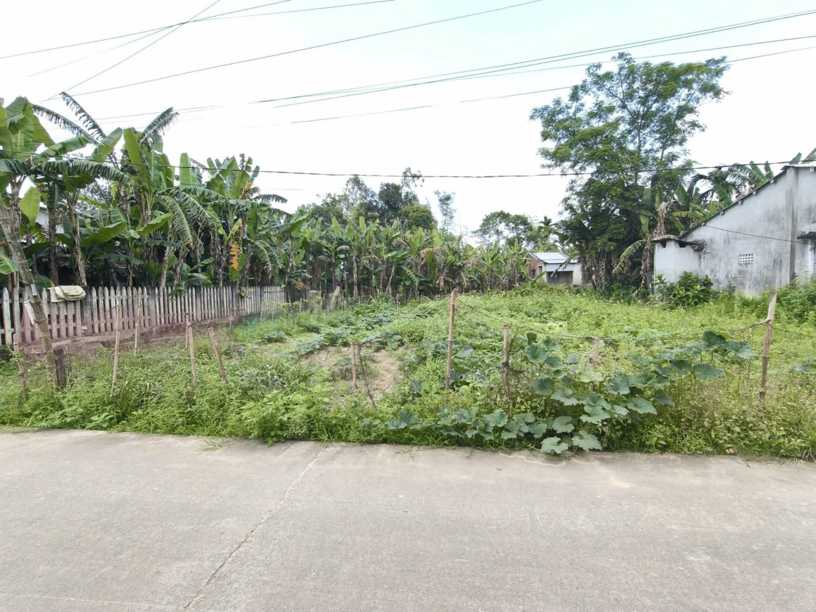 THÔN 1 DIỆM SƠN 186m², ĐẤT, ngang 9.5m, dài 19.5m, giá 1.5 tỷ, Điện Bàn