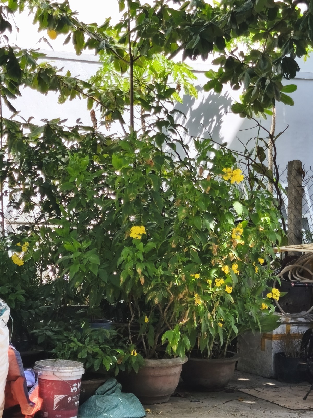 MỸ AN 5 95.5m², ĐẤT, ngang 5m, dài 19.1m, giá 11.9 tỷ, Ngũ Hành Sơn